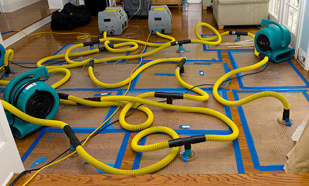 Professional Sewage Cleanup technician working in Mantua, OH